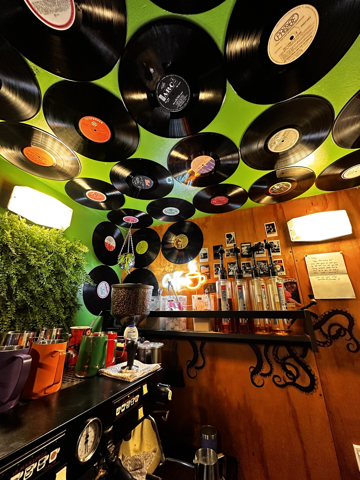 Vinyl records covering the ceiling inside the stand
